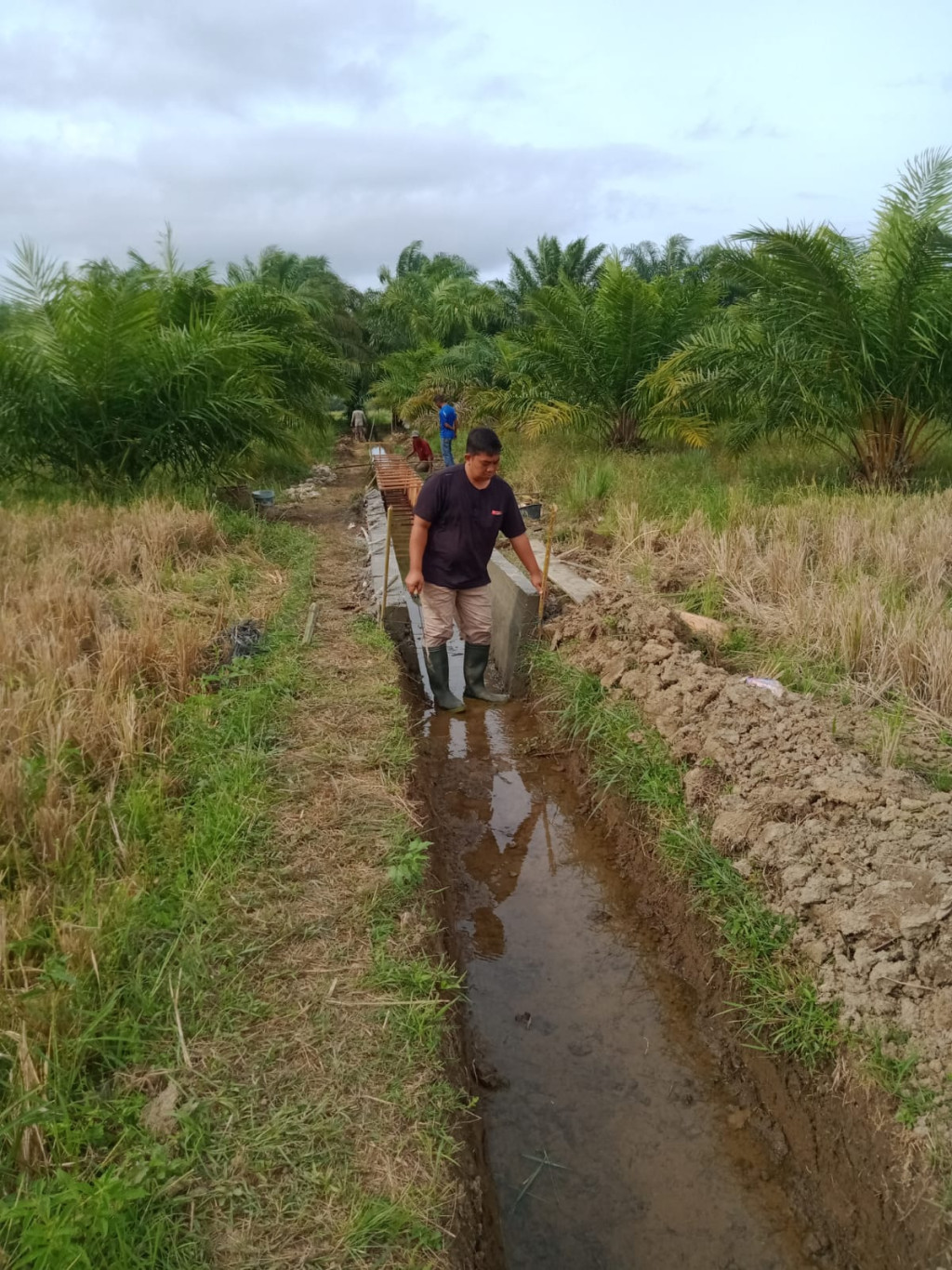 Pembangunan Saluran Irigasi Persawahan Tahun 2022 Desa Limau Purut